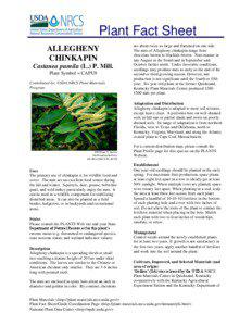 Plant Fact Sheet ALLEGHENY CHINKAPIN
