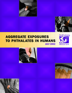 AGGREGATE EXPOSURES TO PHTHAL ATES IN HUMANS JULY 2002 Contents