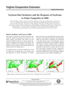 publication[removed]Soybean Rust Incidence and the Response of Soybeans to Foliar Fungicides in 2006 Patrick M. Phipps, Professor, Department of Plant Pathology, Physiology, and Weed Science, Virginia Tech Darcy E. Part