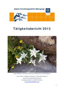 Tätigkeitsbericht[removed]Alpen-Edelweiß (Leontopodium alpinum) am Wegesrand zum Gaisbergferner Univ.-Prof. Dr. Brigitta Erschbamer, Dr. Nikolaus Schallhart Alpine Forschungsstelle Obergurgl