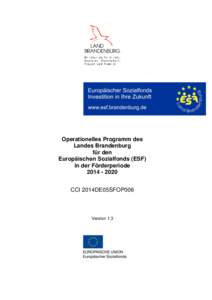 Operationelles Programm des Landes Brandenburg für den Europäischen Sozialfonds (ESF) in der Förderperiode