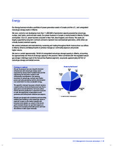 Energy Our Energy business includes a portfolio of power generation assets in Canada and the U.S., and unregulated natural gas storage assets in Alberta. We own, control or are developing more than 11,800 MW of generatio