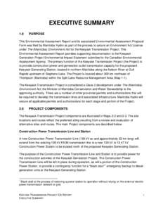 EXECUTIVE SUMMARY 1.0 PURPOSE  This Environmental Assessment Report and its associated Environmental Assessment Proposal