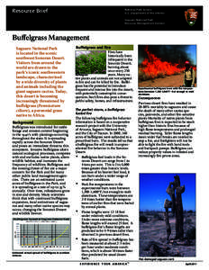 Resource Brief  National Park Service U.S. Department of the Interior Saguaro National Park Resource Management Division