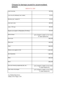 Charges for damage caused for accommodated persons valid fromLoss of room key  250 CZK