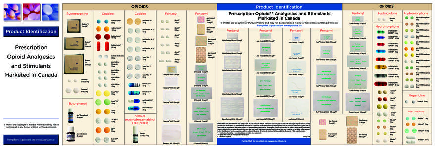 Buprenorphine  BuTrans® 5 5 mcg/h¶  Product Identification