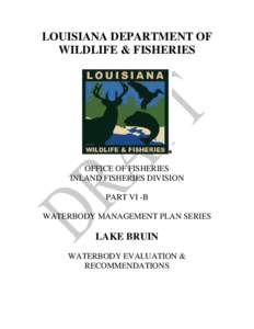 Micropterus / Lake Mead / Fish / Largemouth bass