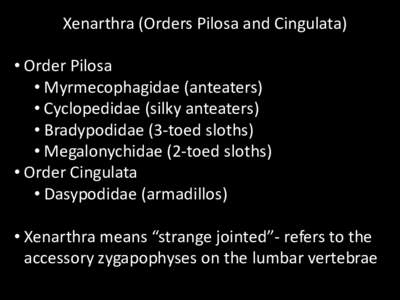 Xenarthra (Orders Pilosa and Cingulata) • Order Pilosa • Myrmecophagidae (anteaters) • Cyclopedidae (silky anteaters) • Bradypodidae (3-toed sloths) • Megalonychidae (2-toed sloths)