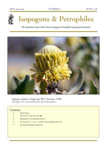Petrophile / Flora of New South Wales / Proteaceae / Isopogon / Petrophile linearis / Australian Native Plants Society / I. petiolaris / Flower / Isopogon dubius / Eudicots / Proteales / Plant taxonomy