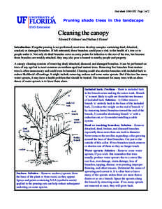 Fact sheet ENH 852 Page 1 of 2  Pruning shade trees in the landscape Cleaning the canopy Edward F. Gilman1 and Nathan J. Eisner2