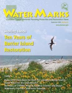 Physical oceanography / Coastal engineering / Geology / Chandeleur Islands / Coastal Wetlands Planning /  Protection and Restoration Act / Barrier island / Shoal / Wetland / Coastal management / Physical geography / Coastal geography / Hydrology