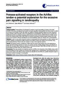 Protease-activated receptors in the Achilles tendonŁa potential explanation for the excessive pain signalling in tendinopathy