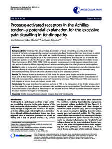 Connective tissue cells / G protein coupled receptors / Tendinosis / Achilles tendon / Tendon / Tendinitis / Tendinopathy / Protease-activated receptor / Epitenon / Anatomy / Biology / Health