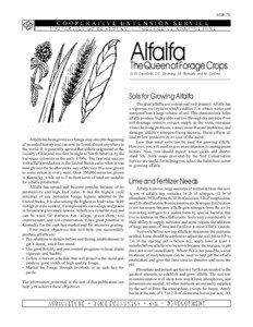 Pollination management / Alfalfa / Medicago / Vegetables / Agricultural soil science / Autotoxicity / Hay / Forage / Tillage / Agriculture / Land management / Crops