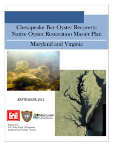 Protostome / Aquaculture / Ostreidae / Eastern oyster / Fauna of the United States / Chesapeake Bay / Oyster / United States Army Corps of Engineers / Oyster Reef Restoration / State governments of the United States / Chesapeake Bay Watershed / Phyla