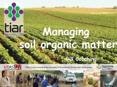 Managing soil organic matter Bill Cotching Dynamics of soil Carbon levels Black Magic model