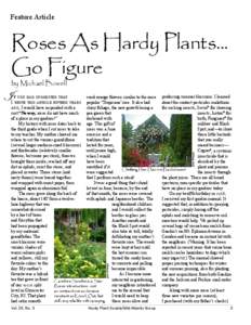 Feature Article  Roses As Hardy Plants... Go Figure by Michael Bowell