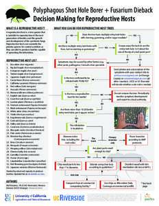 Polyphagous Shot Hole Borer + Fusarium Dieback Decision Making for Reproductive Hosts REPRODUCTIVE HOST LIST 1.	 Box elder (Acer negundo) 2.	 Big leaf maple (Acer macrophyllum)