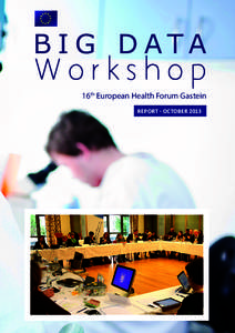 B I G D ATA Workshop 16th European Health Forum Gastein REPORT - OCTOBER 2013  The Big Data Workshop was organised by the European Alliance