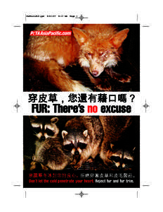 Zoology / Fur farming / Raccoon dog / Asia / Siberian fur trade / Animal rights / Fauna of Asia / Fur