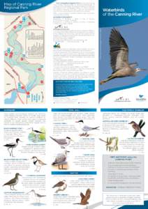 Map of Canning River Regional Park Waterbirds shore of thebirds