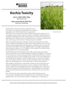 Kochia Toxicity Larry C. Hollis, DVM., M.Ag. Beef Veterinarian Deon van der Merwe, BVS, Ph.D. Veterinary Toxicologist
