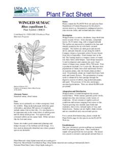 Plant Fact Sheet WINGED SUMAC Rhus copallinum L. Plant Symbol = RHCO Contributed by: USDA NRCS Northeast Plant Materials Program