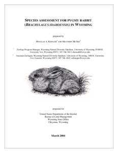 Rabbit / Leporidae / Sagebrush / Artemisia tridentata / Pygmy goat / Columbia Basin Pygmy Rabbit / Rabbits and hares / Flora of the United States / Pygmy Rabbit