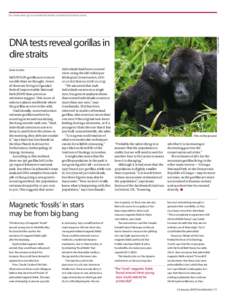 For more news go to www.NewScientist.com/section/science-news  Linda Geddes MOUNTAIN gorillas are in more trouble than we thought. Fewer