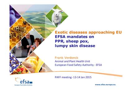 Exotic diseases approaching EU EFSA mandates on PPR, sheep pox, lumpy skin disease Frank Verdonck Animal and Plant Health Unit