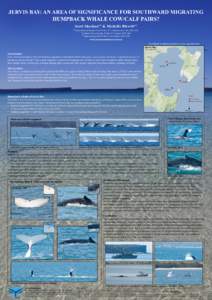 JERVIS BAY: AN AREA OF SIGNIFICANCE FOR SOUTHWARD MIGRATING HUMPBACK WHALE COW/CALF PAIRS? Scott Sheehan 1  1,2