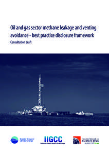Oil and gas sector methane leakage and venting avoidance - best practice disclosure framework Consultation draft Oil and gas sector methane leakage and venting avoidance – best practice disclosure framework