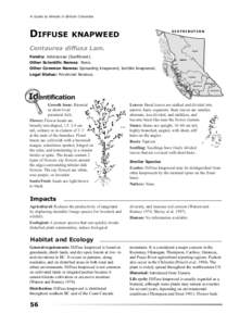 Land management / Centaurea / Diffuse knapweed / Biology / Larinus minutus / Agapeta zoegana / Cyphocleonus achates / Larinus obtusus / Garden pests / Curculionidae / Invasive plant species / Agriculture