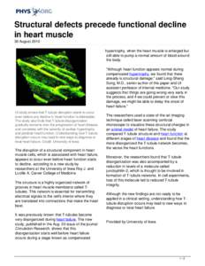 Heart diseases / Exercise physiology / Heart failure / Organ failure / T-tubule / Ventricular hypertrophy / Cardiovascular disease / Cardiac muscle / Anatomy / Biology / Muscular system