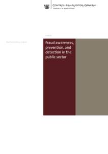 Fraud awareness, prevention, and detection in the public sector