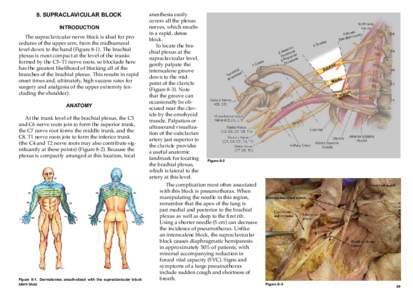8. supraclavicular Block INTRODUCTION The supraclavicular nerve block is ideal for procedures of the upper arm, from the midhumeral level down to the hand (FigureThe brachial plexus is most compact at the level of