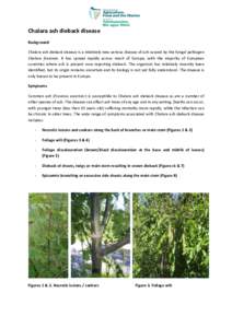 .  Chalara ash dieback disease Background Chalara ash dieback disease is a relatively new serious disease of ash caused by the fungal pathogen Chalara fraxinea. It has spread rapidly across much of Europe, with the major