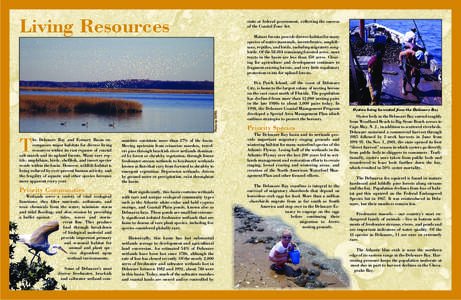 Living Resources  state or federal government, reﬂecting the success of the Coastal Zone Act.  Photo by DSWA