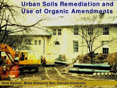 Effects of the  Scoop & Dump Soil Remediation Technique on Urban Soil Quality