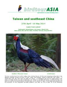 Laughingthrush / Regulus / Garrulax / Common Pheasant / Taiwan Blue Magpie / Phasianidae / Bird / Taiwan Firecrest / Parrotbill / Fauna of Asia / Neognathae / Ornithology