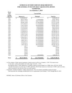 Schedule of Debt Service Requirements