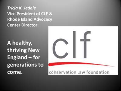 Tricia K. Jedele Vice President of CLF & Rhode Island Advocacy Center Director  A healthy,