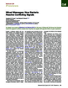 Mixed Messages: How Bacteria Resolve Conflicting Signals