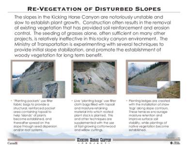 Re-Vegetation of Disturbed Slopes The slopes in the Kicking Horse Canyon are notoriously unstable and slow to establish plant growth. Construction often results in the removal of existing vegetation that has provided soi