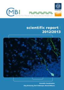 Development and in vivo evaluation of papain-functionalized nanoparticles