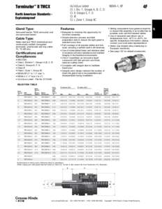 Terminator™ II TMCX  NEMA 4, 6P UL/cULus Listed Cl. I, Div. 1, Groups A, B, C, D