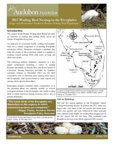 2012 Wading Bird Nesting in the Everglades Large scale Restoration Needed to Recover Wading Bird Populations Introduction The annual South Florida Wading Bird Report1 provides an overview of wading bird nesting efforts a