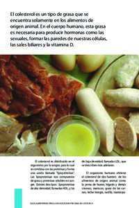 El colesterol es un tipo de grasa que se encuentra solamente en los alimentos de origen animal. En el cuerpo humano, esta grasa es necesaria para producir hormonas como las sexuales, formar las paredes de nuestras célul