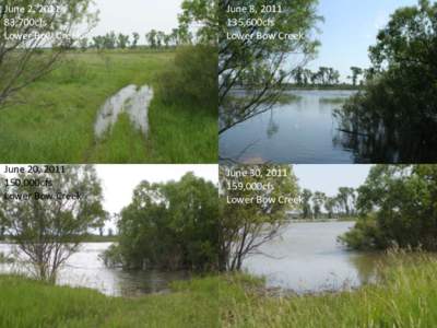 June 2, [removed],700cfs Lower Bow Creek June 8, [removed],600cfs