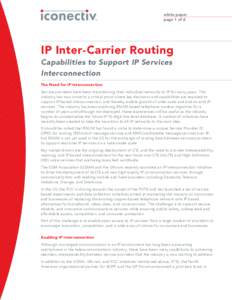 white paper page 1 of 6 IP Inter-Carrier Routing Capabilities to Support IP Services Interconnection